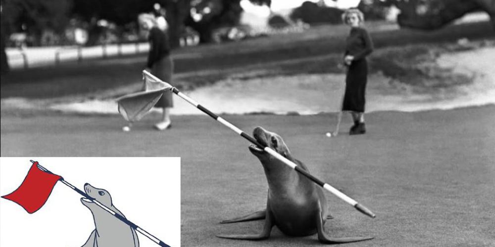 The Hay - The Inspiration The Hay - The Inspiration