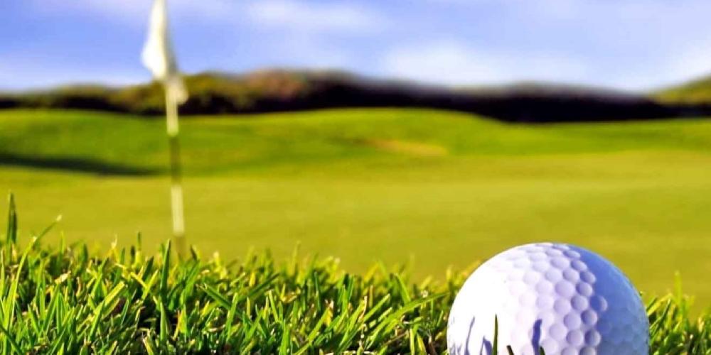 Golfing for Business: How the Greens Can Boost Your Network and Career