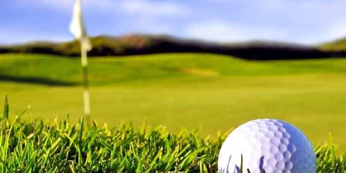 Golfing for Business: How the Greens Can Boost Your Network and Career